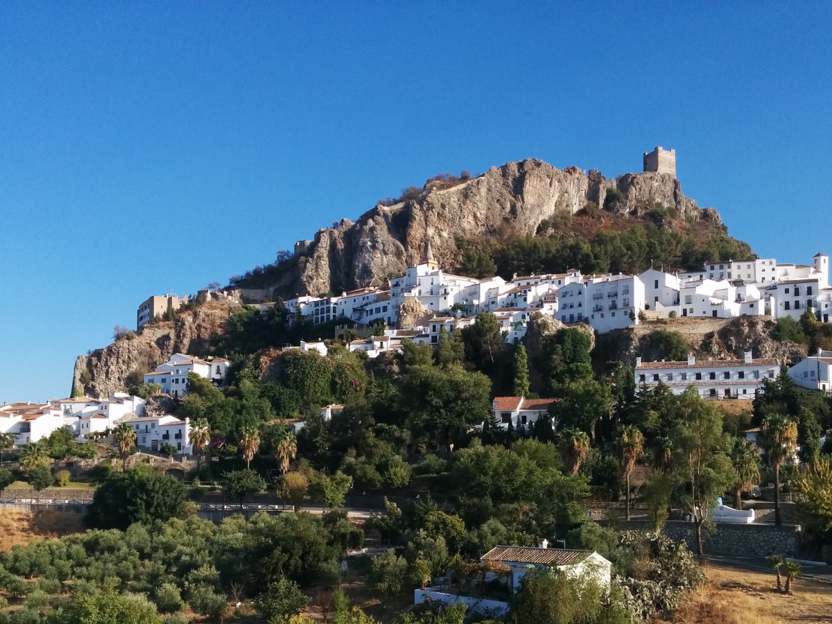 Zahara de la Sierra, colimaçon&nbsp;blanc